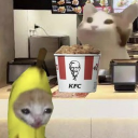 avatar ||بطاطس Judge||