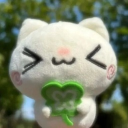 avatar 🍀