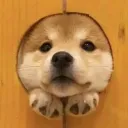wuffs