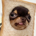 avatar ǝsdɐlʎɐʞ