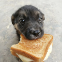 avatar Freddy Cheesy