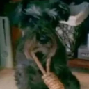 avatar Чёрт из табакерки