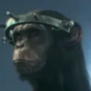 chimpman.