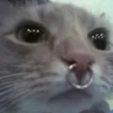 danno6669