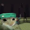 wa._wa._ avatar
