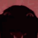 ___memphis___