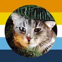 herrkatze0658