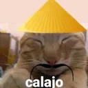 viizzzm