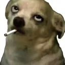 smoke55fr