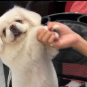 avatar หว๋างต้องตักล้วยเป้ววว