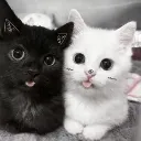keichi_oreo
