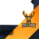 divsss8990