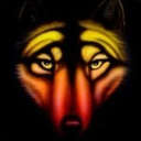 wilk.wilkowy avatar
