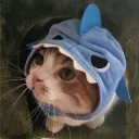 zxkkery