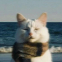 Ahhoの写真