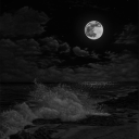 avatar 𝒟𝒶𝓃𝓀฿𝒪𝐼