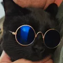 haydini