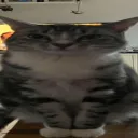 gobbermand