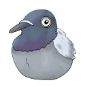 homelesspigeon