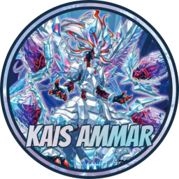 kais ammar's Avatar
