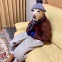 herico6969#5618's avatar