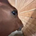 pceninja