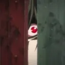 neppeli