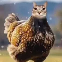 pablitothechicken