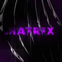 legitxmatrix