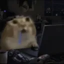 meowermeow