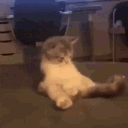 meowermeow