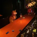 dogwithanalcoholproblem