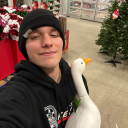 stiffpants's Avatar