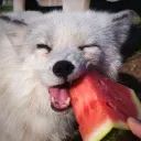 tonicc