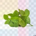 mintiye