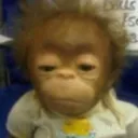 monkeykang