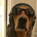 wsod