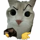 tangykiwi