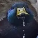 jappie03