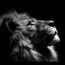 avatar 《¥☆¥》/:\♡Fast☆Lightning♡/:\《¥☆¥》