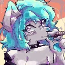 anonfoxer