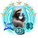 drsiwakov
