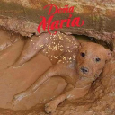 CHACHALA