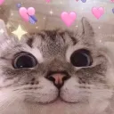 cxrky