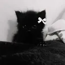 tabsonn