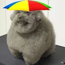 mrnoob0600
