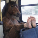 avatar Andrzej Poczta