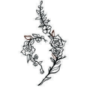 avatar T.S Shorty🦋