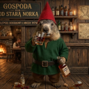 avatar Dominik71