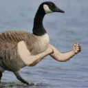 adotron